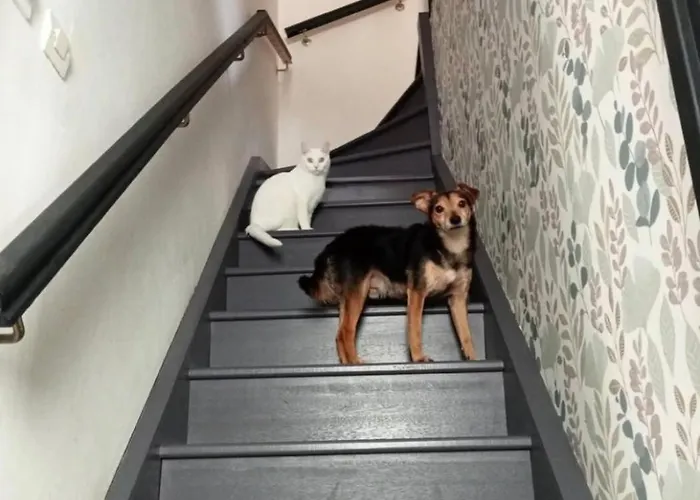 La Séjour chez l'habitant *